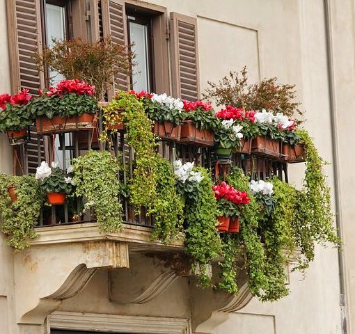 Immagine di repertorio