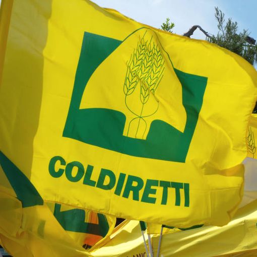 Arriva a Milano il Villaggio contadino della Coldiretti