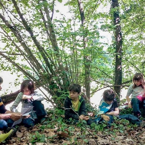 &quot;Bimbisvegli&quot; riceve l'appoggio di alcune associazioni di supporto per alunni con esigenze educative speciali