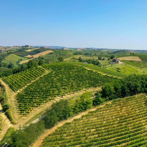 Ferraris Agricola presenta Opera Prima Riserva 2017