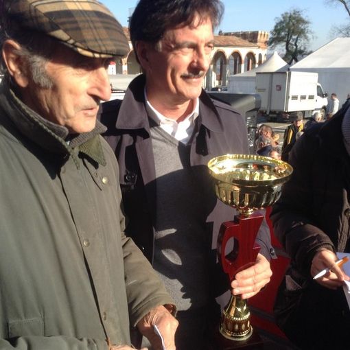 Fiera del Bue Grasso di Moncalvo: in palio il premio speciale per il “Miglior Bue allevato in Provincia di Asti”