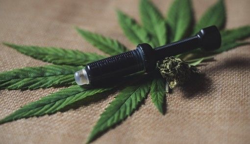 Coltivare la cannabis, l'appello degli addetti ai lavori: &quot;Dateci regole chiare su quel che possiamo fare&quot;