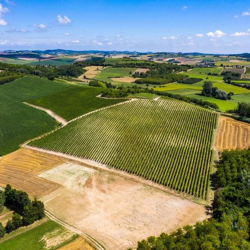 Ferraris Agricola conclude il progetto Castelletto di Montemagno. Un investimento da mezzo milione di euro al servizio di una nuova etichetta e del territorio.
