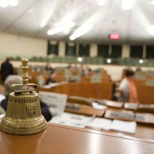 Peste suina, le richieste del Consiglio