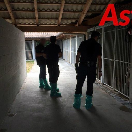 Caso canile di Refrancore, il proprietario: &quot;Sono innocente, chi sta sbagliando pagherà&quot; (FOTOGALLERY)