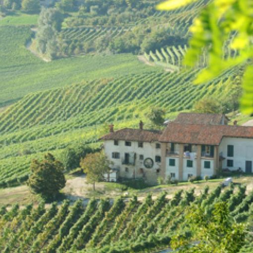 Paesaggio vitivinicolo unesco, panorama