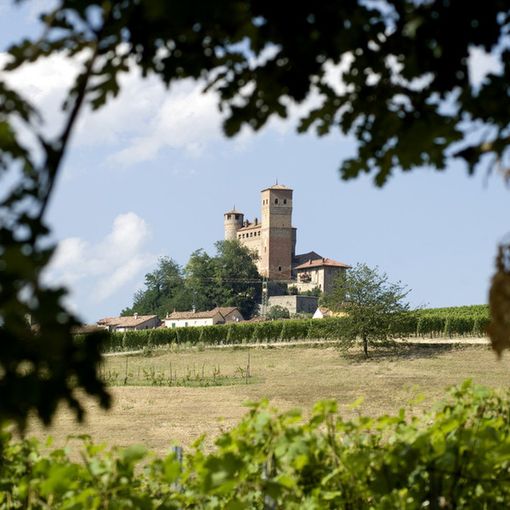 Narrar Castelli e Vini 2019: visite guidate e degustazioni, per riscoprire i castelli di Langhe e Roero