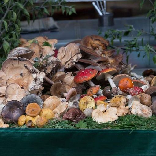 Cervasca: al via la Sagra dei “Pisacan”: colori, sapori e suoni dell’autunno