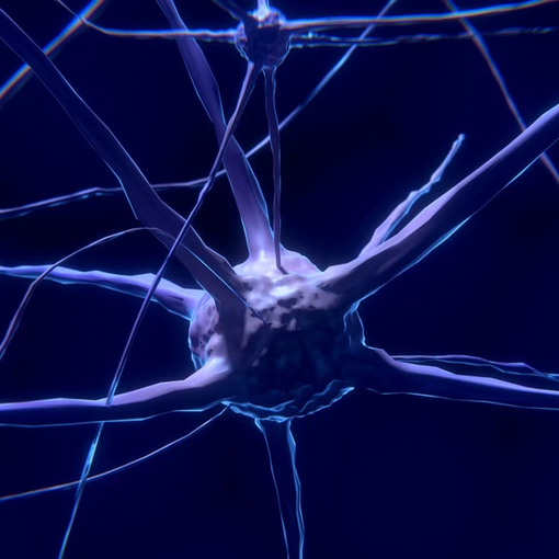 Cervello e computer collegati da un circuito neurale 3D