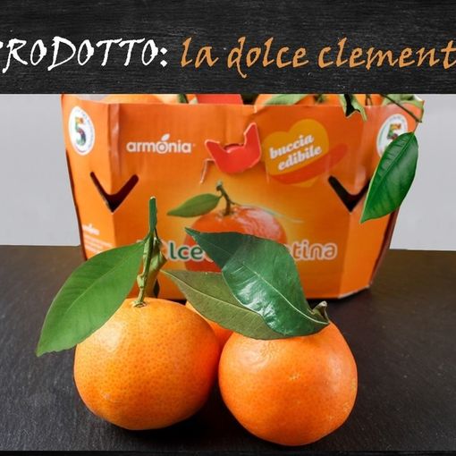 Felici &amp; Veloci, la nuova ricetta AutograFata di Fata Zuccchina: la clementina donata