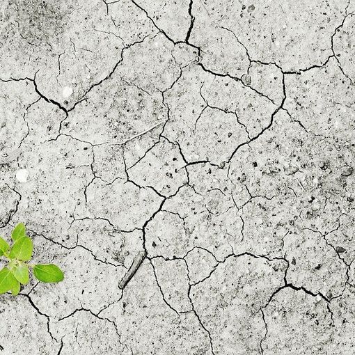 Siccità: il Piemonte sollecita il riconoscimento dello stato di calamità e di emergenza