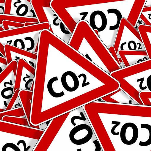 Fridays for Future Asti: &quot;Ci restano solo 7 anni e mezzo prima di esaurire il carbon budget&quot;