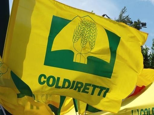 Crisi Covid: si delineano gli aiuti alle imprese agricole