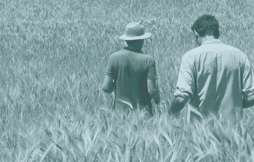 &quot;Coltiva i tuoi talenti&quot; con Naturasì e i suoi corsi di formazione dedicati al mondo bio