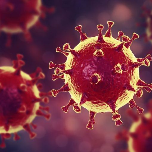Coronavirus, in Piemonte 54 nuovi positivi, di cui 39 asintomatici