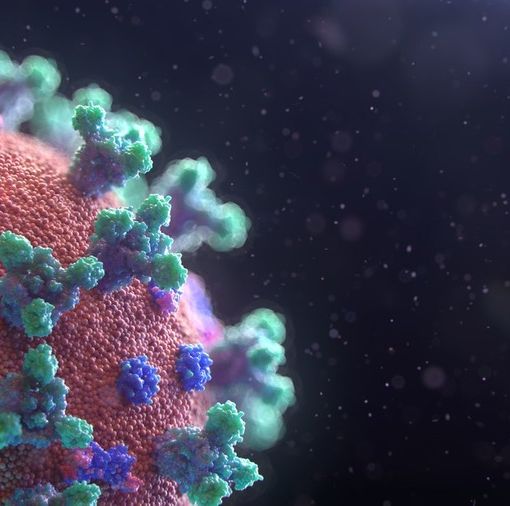 Coronavirus, in Piemonte altri 66 nuovi casi. Ad Asti un nuovo guarito