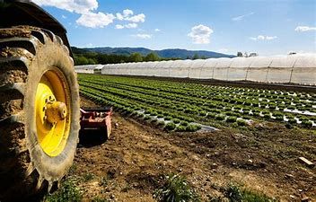 Il Governo approva il piano 'anticrisi' di Coldiretti