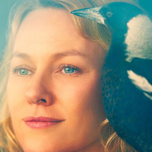 Al cinema Lumière di Asti continua la programmazione di &quot;Penguin Bloom&quot;