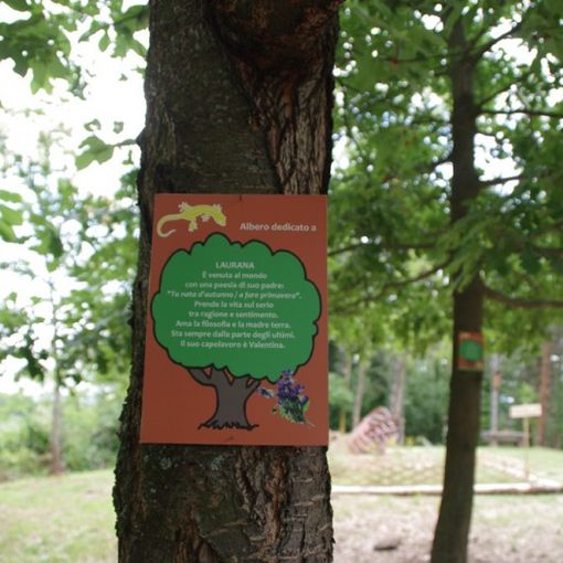 Albero dedicato (foto tratta dal sito internet dell'associazione)