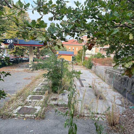 Ex distributore Q8 di corso XXV Aprile: una foresta e alcuni topi hanno preso il suo posto