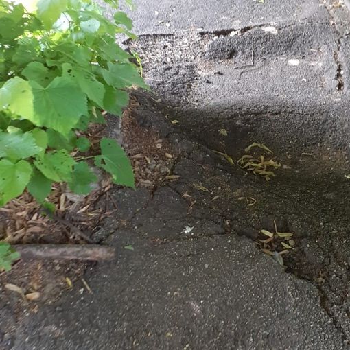 Un tratto di marciapiede in via Robino