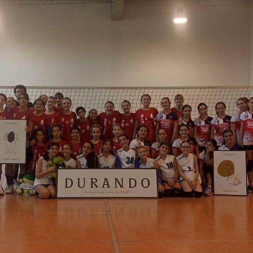 Le ragazze delle squadre in campo