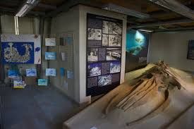 Il 1° marzo si presenta l'Osservatorio per la sostenibilità dell'Astigiano (Osa) al Museo Paleontologico