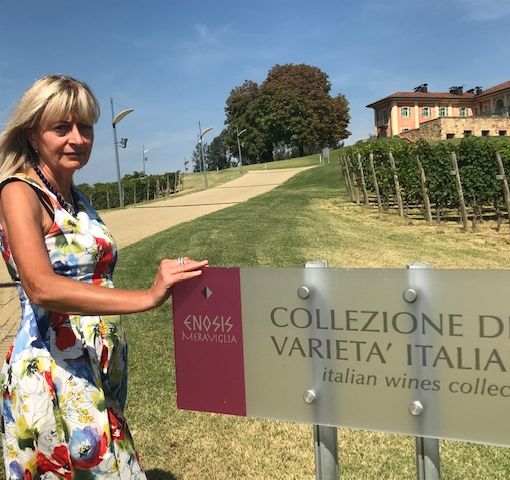 Dora MArchi