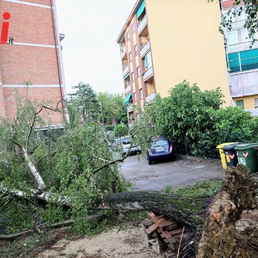 Il downburst che colpì Asti il 5 luglio