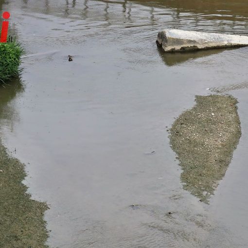 Siccità, riconosciuto lo stato d'emergenza al Piemonte: 7,6 milioni di euro per le prime opere di somma urgenza
