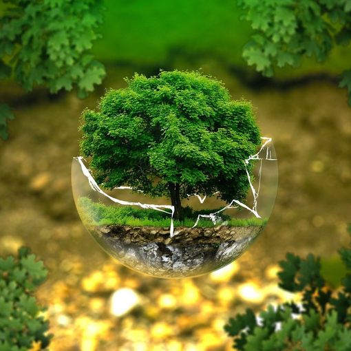 Oggi si celebra la 'Giornata Mondiale della Terra': cosa possiamo fare? (VIDEO)