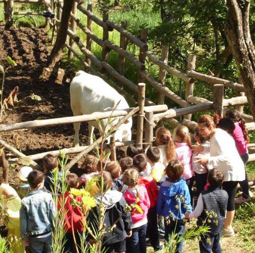 L'estate per i bambini è meglio in campagna nelle fattorie didattiche