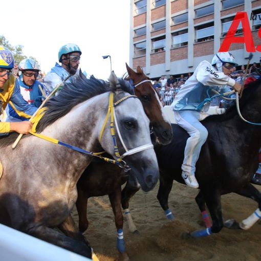 Palio di Asti, confermate le corse di sabato allo stadio. È attesa per domani la decisione sulla corsa di settembre