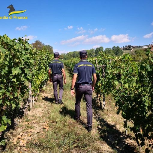Lavoro nero: ancora lavoratori irregolari nelle vigne a Canelli. Per un bar di Asti scatta la sospensione dell'attività