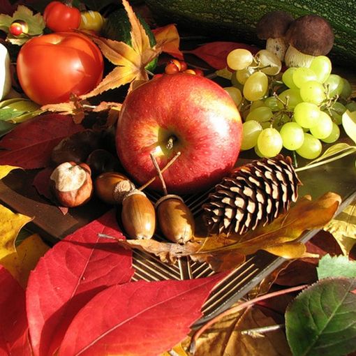 Vendite di frutta in calo anche durante le feste natalizie: il settore ortofrutticolo chiede aiuto