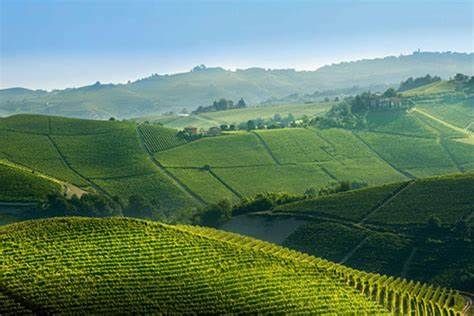 Un premio per avviare imprese non agricole nei comuni  del GAL Terre Astigiane
