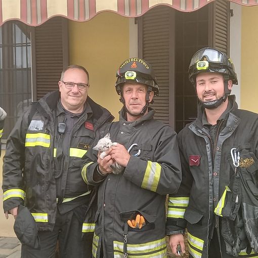 La squadra che ha salvato il gattino