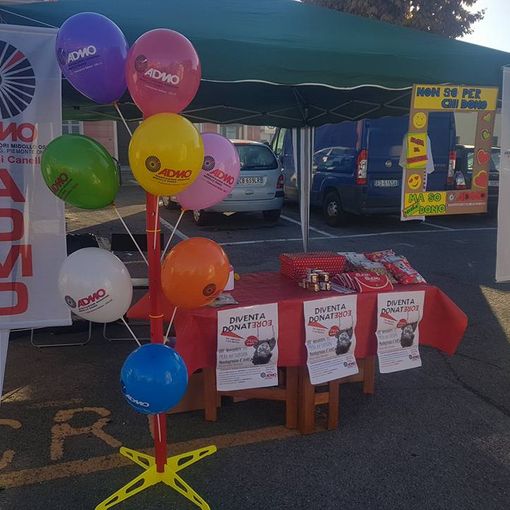Canelli, il gazebo dell'Admo che sarà intitolato ad Alessandro Panno