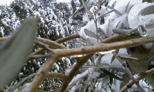 Meteo, sarà un weekend freddo ma soleggiato sull'Astigiano
