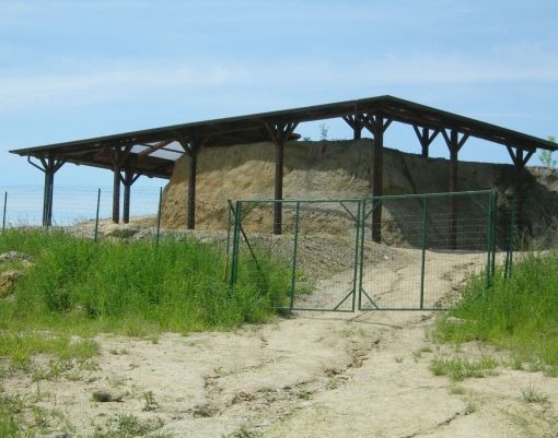 Ad Asti, paleontologi per un giorno. Continuano gli appuntamenti del Museo Paleontologico