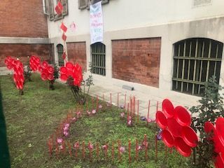 Casa di Riposo di Asti, al via un'iniziativa per la Giornata internazionale contro la violenza sulle donne