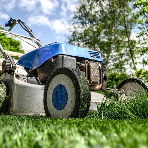 4 tip per scegliere un giardiniere Roma