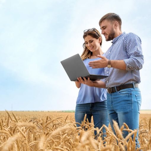 Dalla Regione 45,6 milioni di euro per il pacchetto dedicato ai giovani agricoltori