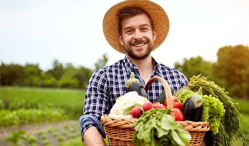 Agricoltura: apre il bando &quot;Pacchetto giovani&quot; con 45 milioni di finanziamento