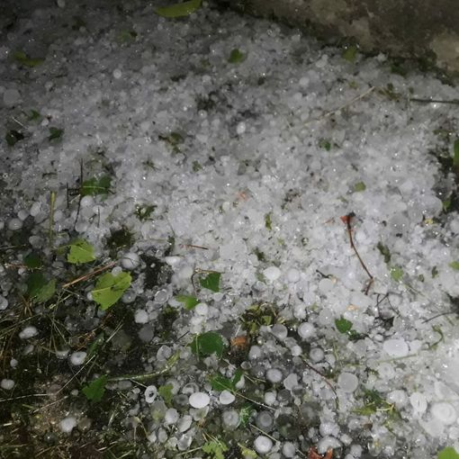 Foto canale Telegram Dati Meteo Asti