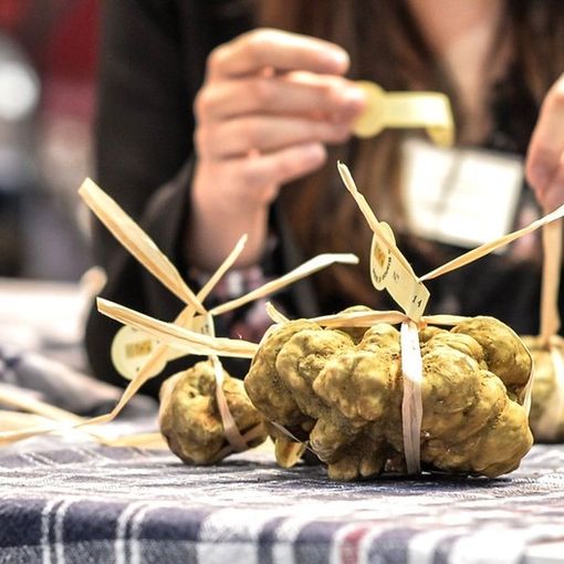 Ente Fiera del Tartufo – Foto Davide Carletti