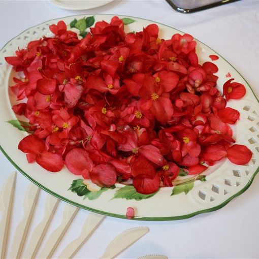 I fiori nel piatto: grande successo a Torino per il menù dei Ristoranti della Tavolozza al Festival del Giornalismo Alimentare (FOTO E VIDEO)