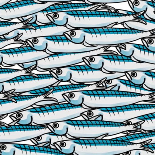 Viviamo in un posto bellissimo: le Sardine di Alfieri