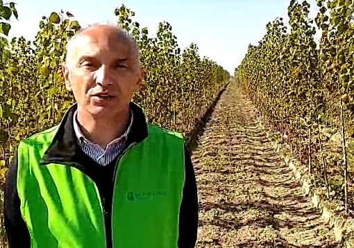 Enrico Allasia “adesso serve accelerare la ripresa e una maggiore semplificazione della burocrazia”