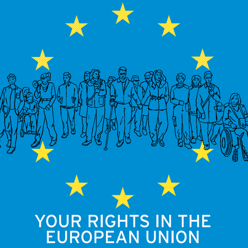 La preoccupante indifferenza degli europarlamentari in merito agli elettori disabili
